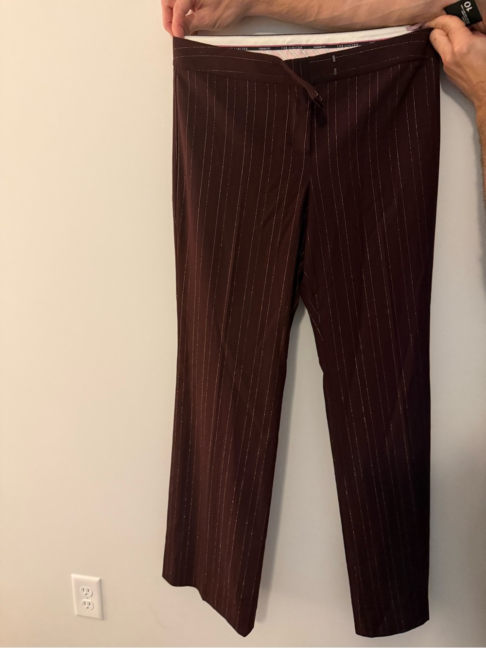 The Limited Cassidy Fit Brown Pinstripe Trousers Women’s Size 10 NWT